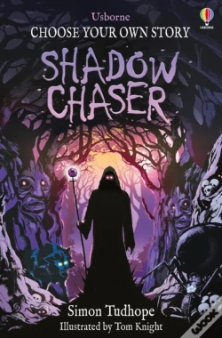 Capa do artigo Shadow Chaser