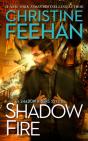 Shadow Fire - Preview