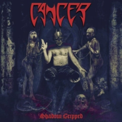 Capa do artigo Shadow Gripped - CD