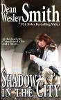 Shadow In The City - Preview