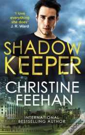 Capa do artigo Shadow Keeper