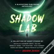 Capa do artigo Shadow Lab