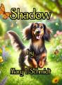 Shadow - Preview