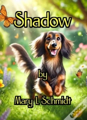 Capa do artigo Shadow