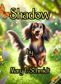 Capa do artigo Shadow