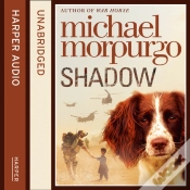 Capa do artigo Shadow