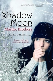 Capa do artigo Shadow Moon