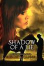 Shadow Of A Lie - Preview