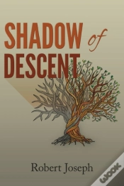 Capa do artigo Shadow Of Descent