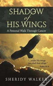 Capa do artigo Shadow Of His Wings