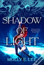 Capa do artigo Shadow Of Light