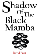 Shadow Of The Black Mamba