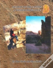 Capa do artigo Shadow Of The Canyon