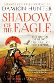 Shadow Of The Eagle