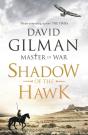 Shadow Of The Hawk - Preview