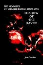 Shadow Of The Raven - Preview