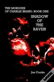 Capa do artigo Shadow Of The Raven