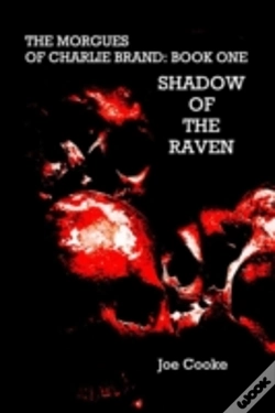 Capa do artigo Shadow Of The Raven