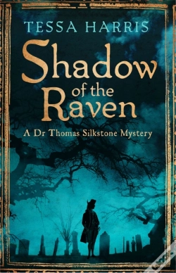 Capa do artigo Shadow Of The Raven