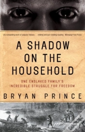 Capa do artigo Shadow On The Household