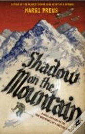 Capa do artigo Shadow On The Mountain