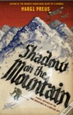 Capa do artigo Shadow On The Mountain