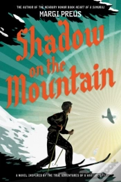 Capa do artigo Shadow On The Mountain
