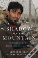 Shadow On The Mountain