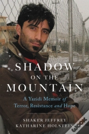 Capa do artigo Shadow On The Mountain