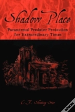 Capa do artigo Shadow Place
