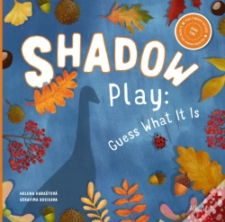 Capa do artigo Shadow Play