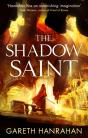 Shadow Saint - Preview