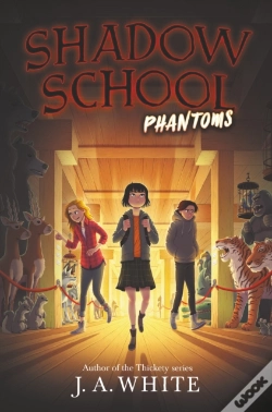 Capa do artigo Shadow School #3: Phantoms