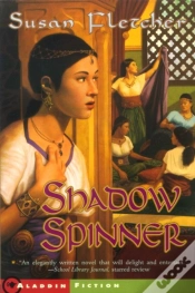 Capa do artigo Shadow Spinner