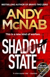 Capa do artigo Shadow State