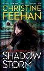 Shadow Storm - Preview