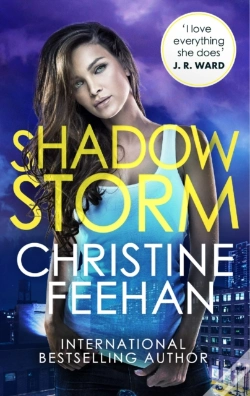 Capa do artigo Shadow Storm
