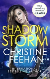 Capa do artigo Shadow Storm