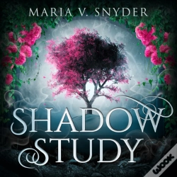 Capa do artigo Shadow Study