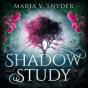 Shadow Study - Preview