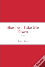 Capa do artigo Shadow, Take Me Down