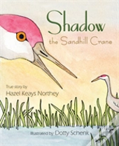 Shadow The Sandhill Crane