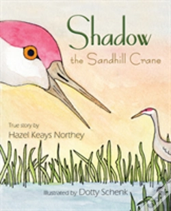 Capa do artigo Shadow The Sandhill Crane