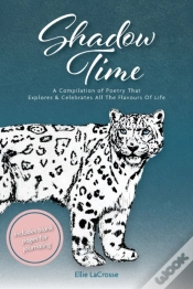 Capa do artigo Shadow Time