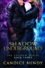 Shadow Underground: The Shadow Series - Preview