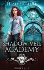 Shadow Veil Academy: Books 1-3 - Preview