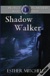 Capa do artigo Shadow Walker