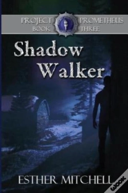 Capa do artigo Shadow Walker