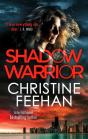 Shadow Warrior - Preview
