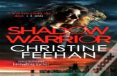 Shadow Warrior